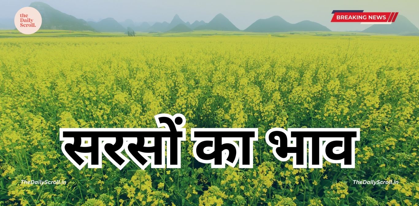 Today Rate: जानिए आज देश की मार्केट में सरसों का क्या है भाव