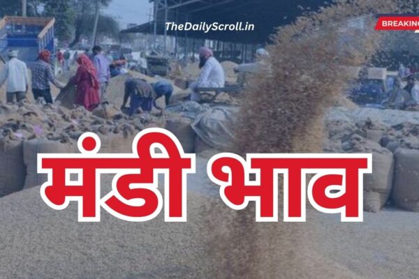 Mandi Rate: जानिए आज का मंडी भाव, हरियाणा राजस्थान मे क्या है फसलों का मंडी भाव