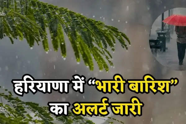 Haryana Weather Alert: हरियाणा में इस दिन होगी बारिश, IMD ने घने कोहरे का भी जारी किया अलर्ट