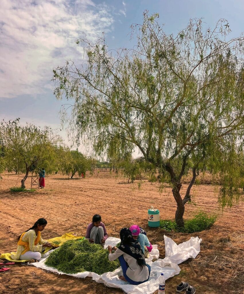 508603304 2923622007808789 8942060939167080506 n