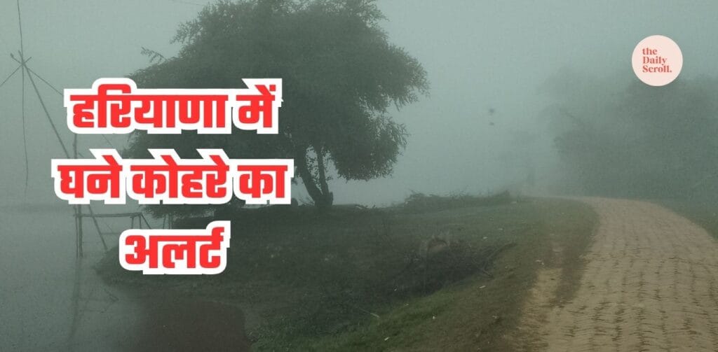 Haryana Weather Update: Dense fog in Haryana, visibility very low in many
