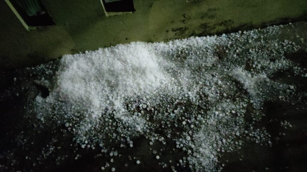 WhatsApp Image 2026 02 01 at 12.54.36 AM