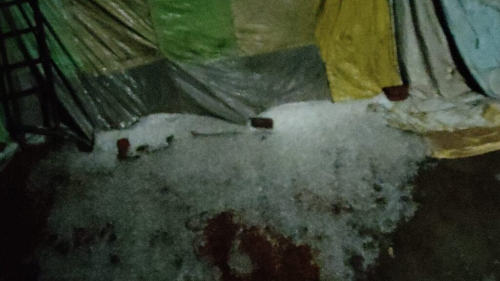 WhatsApp Image 2026 02 01 at 12.54.50 AM