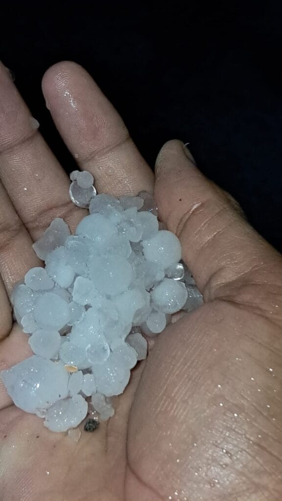 WhatsApp Image 2026 02 01 at 12.55.38 AM